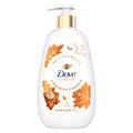 Dove Holiday Treats Hand Wash - Cinnamon Pumpkin Pie